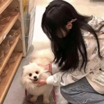 永恒传说神仙武士同盟手游下载